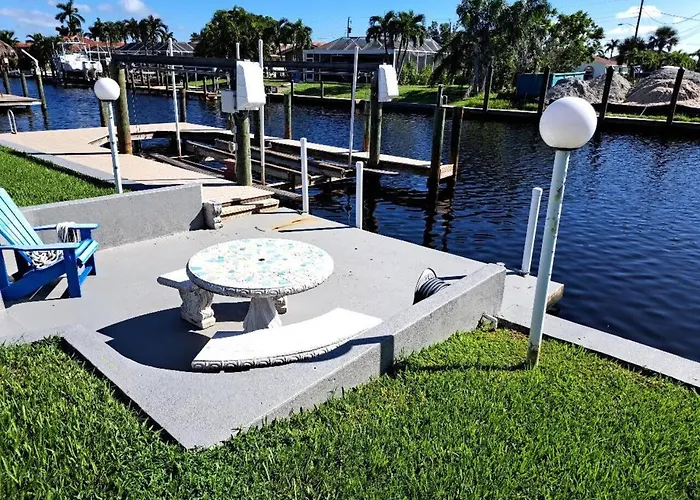 The Playful Pelican